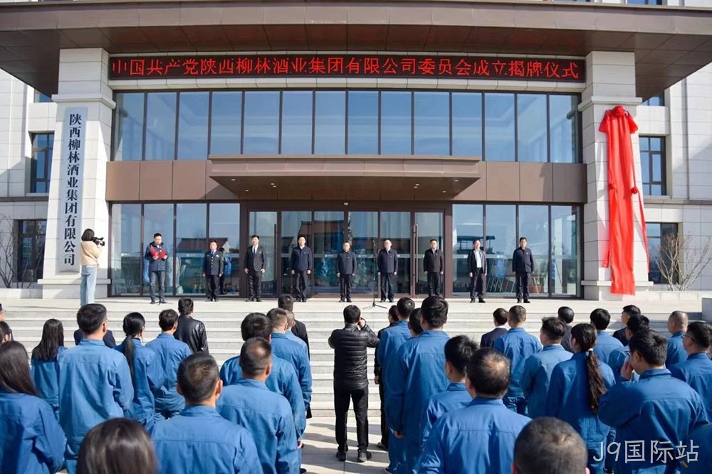 风劲帆满启新程 党建引领谱新篇 |中共J9国际站委员会成立